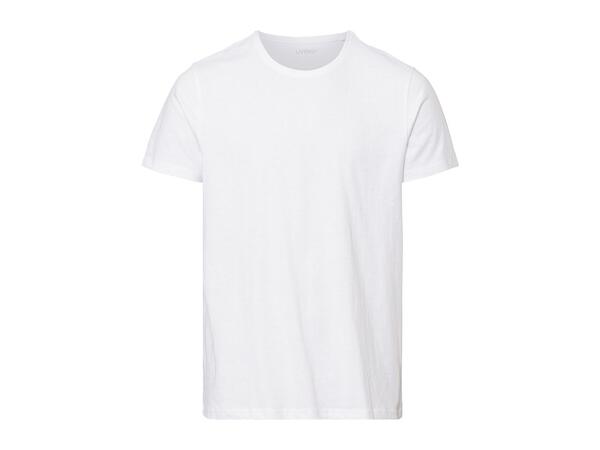 Livergy Men's T-Shirts - 3 pack