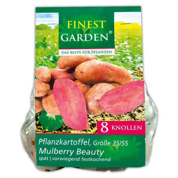 Pflanzkartoffeln