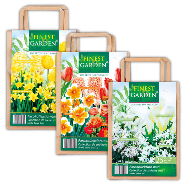 Blumenzwiebel Mischung