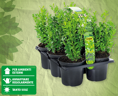 Bossi GARDENLINE(R)