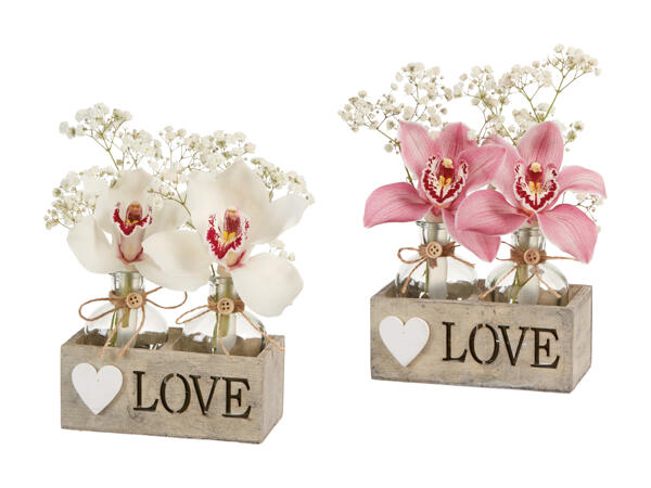 Deux cymbidiums "Love"
