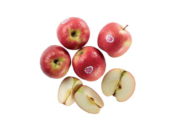 Pink Lady Apples