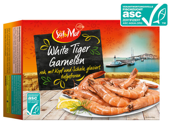 ASC White Tiger Garnelen