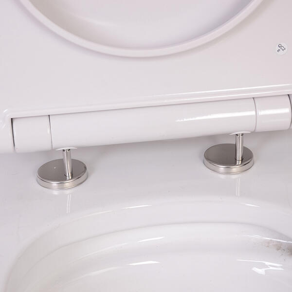 Hochglanz-WC-Sitz