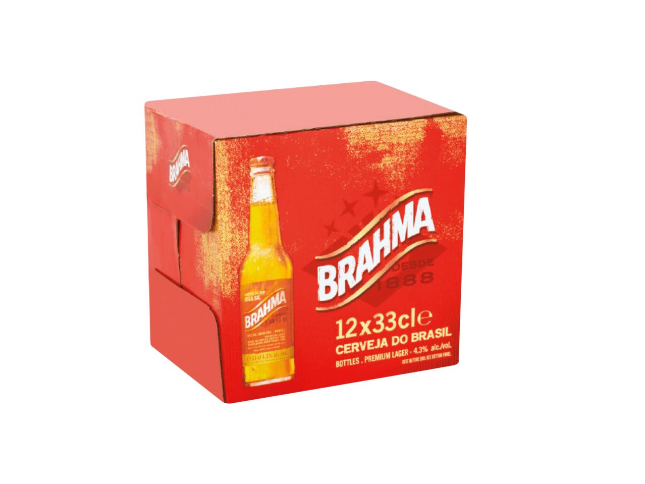 BRAHMA Brazilian Lager1