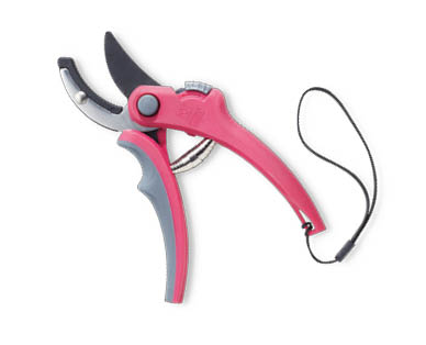 Pruning Shears