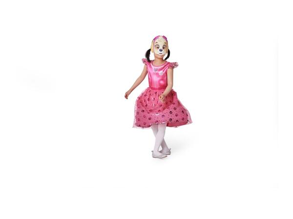 Paw Patrol Kids' Skye Paw Patrol Costume - 2 Piece Set