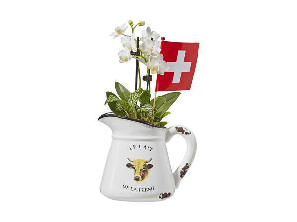 Mini orchidées dans une tasse avec une vache