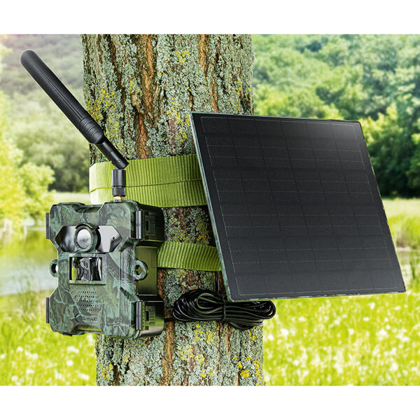 4G Wildkamera mit Solarpanel