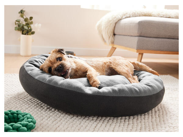 Dog Bed