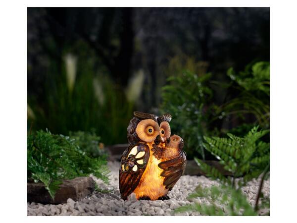 Solar Light Decoration