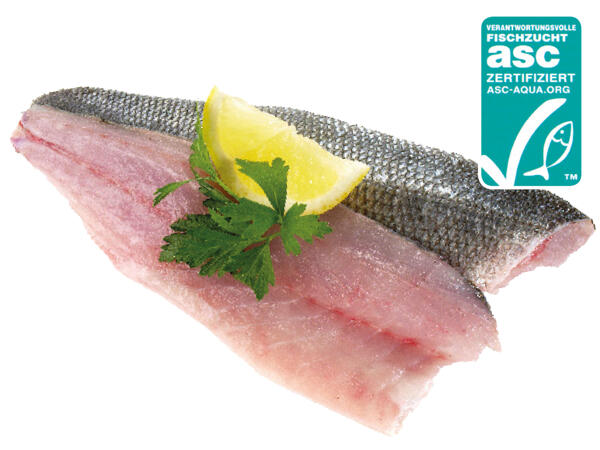 Frisches Wolfsbarschfilet