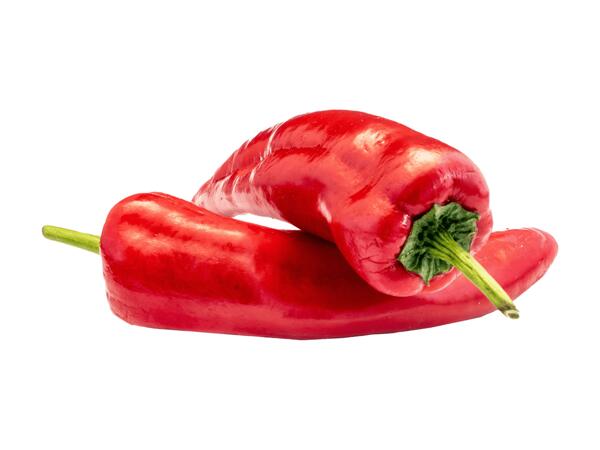 Spitzpaprika rot