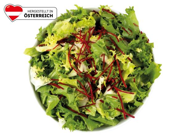 Gourmet Salat