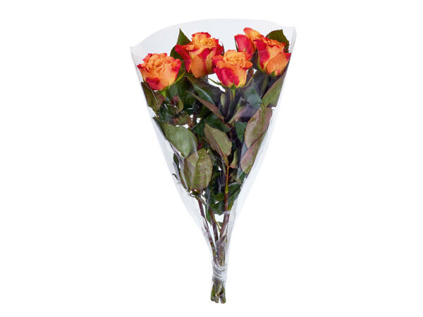 Roses longues tiges