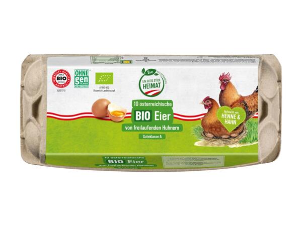 Bio Eier