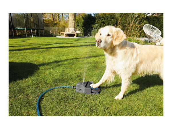 Zoofari Step-On Dog Water Fountain