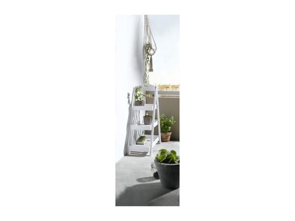 Livarno Home Plant Ladder Stand