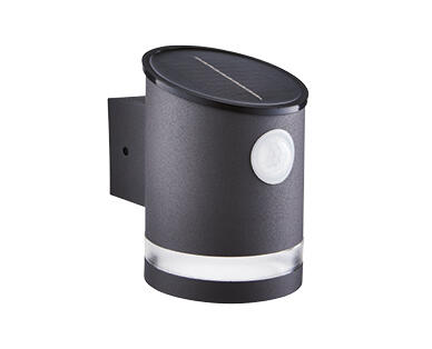 Solar Step or Wall Light