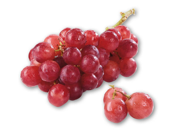 Ekstra store Grappoloni vindruer