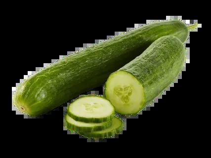 Bio Gurke