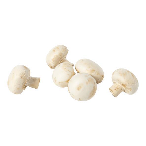 Champignons