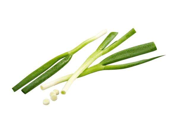 Oignons nouveaux