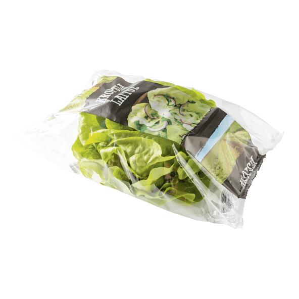 Kopfsalat