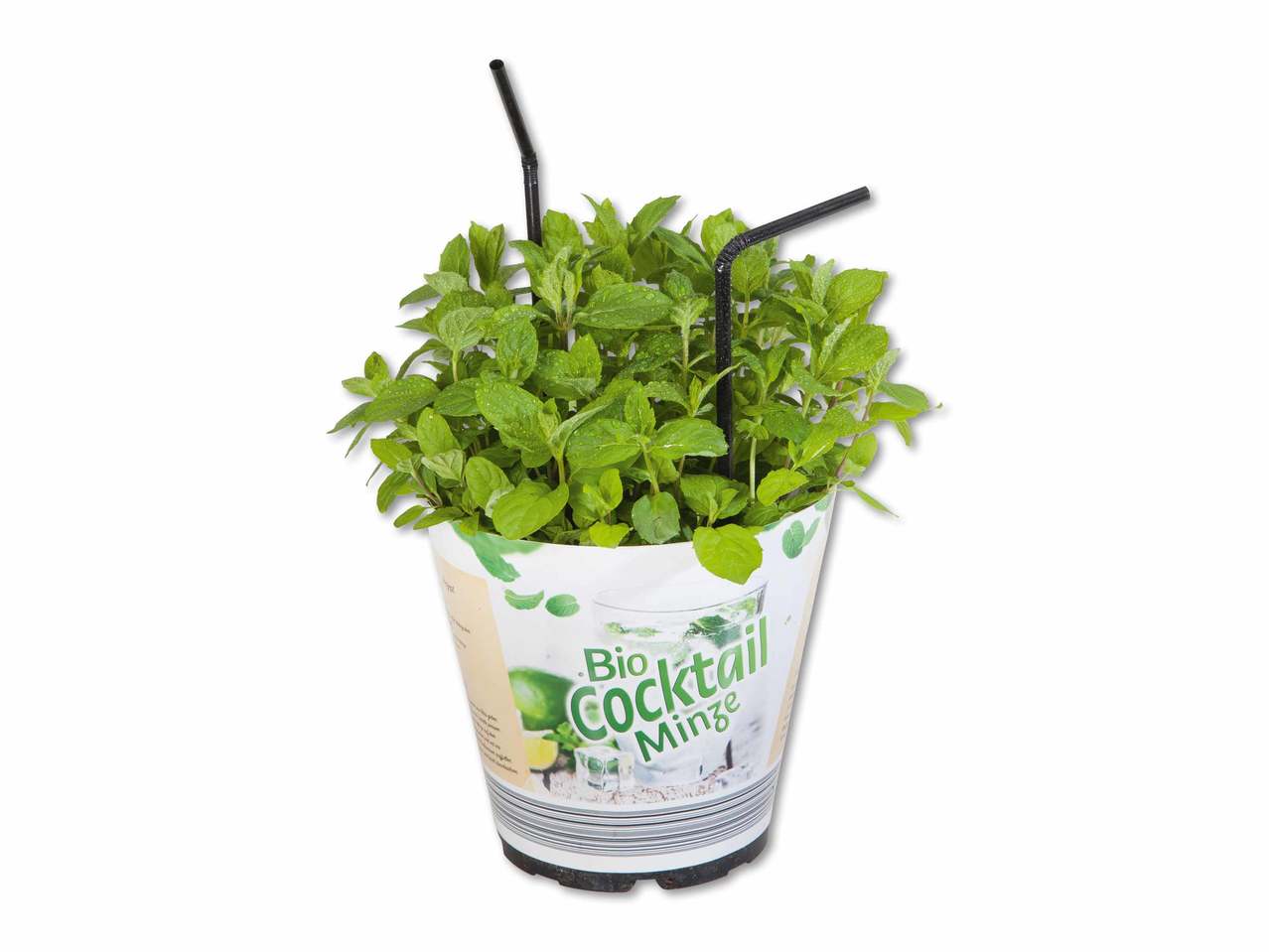 Fines herbes bio pour cocktail