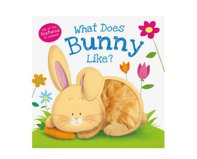 Novelty Board Books