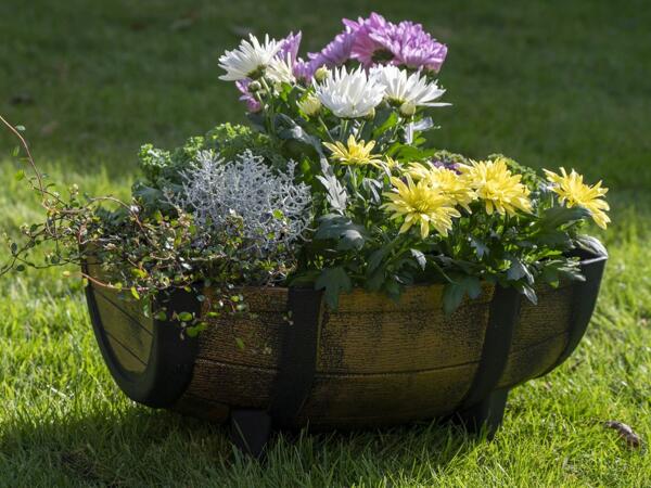 Barrel Planter