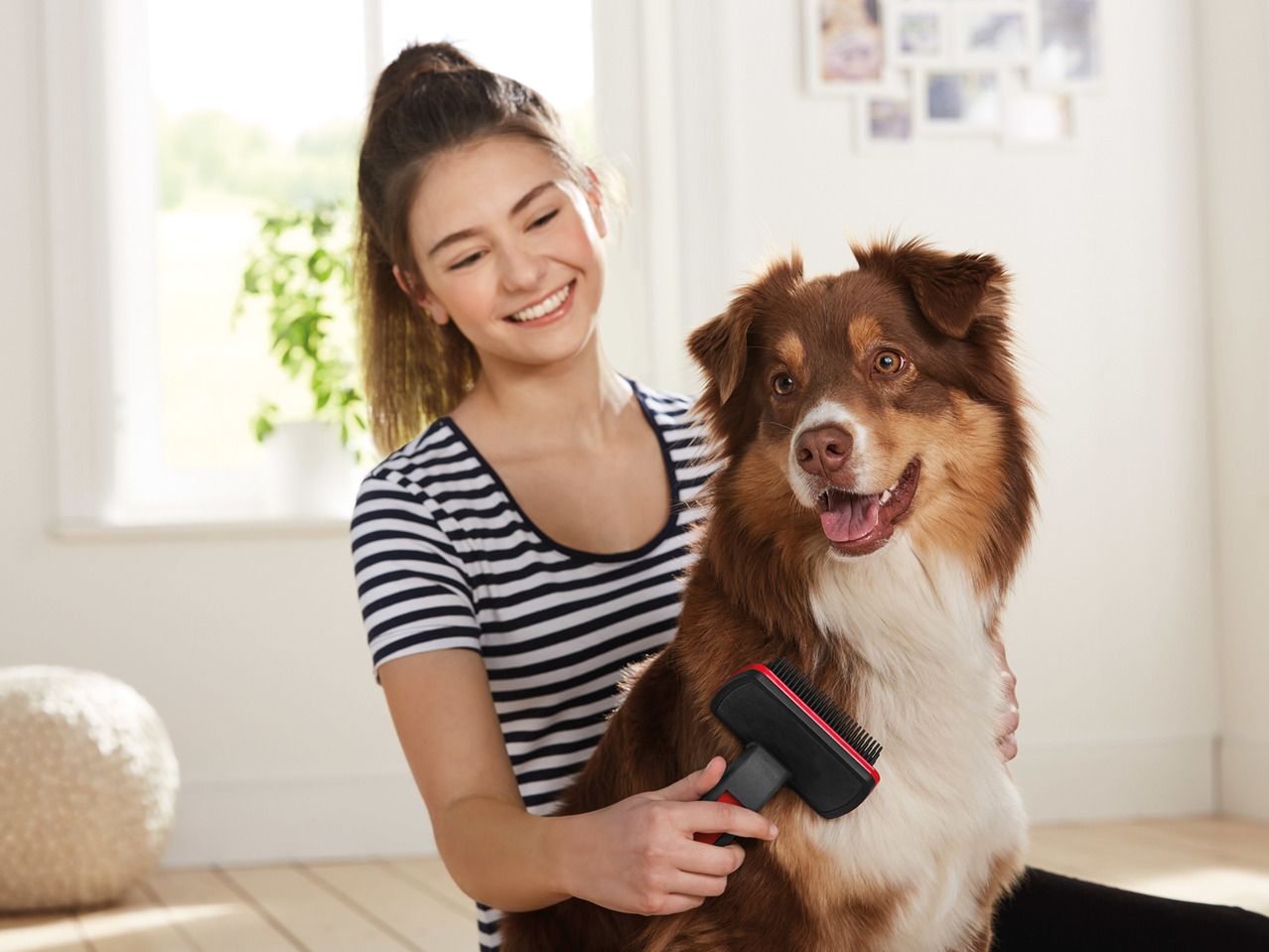 Zoofari Grooming Tool1