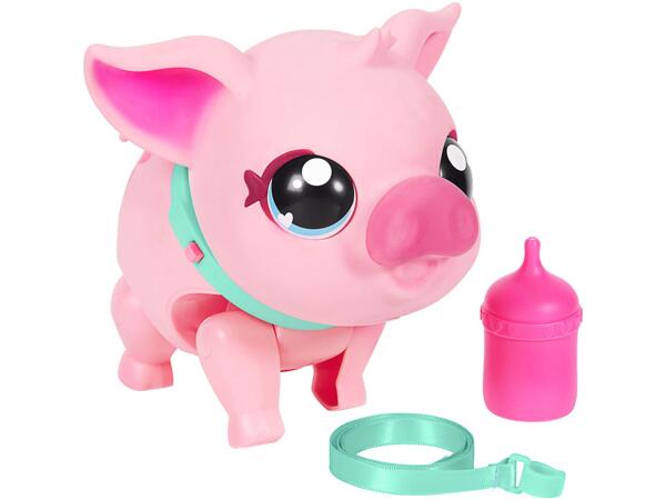 Interactive Toy