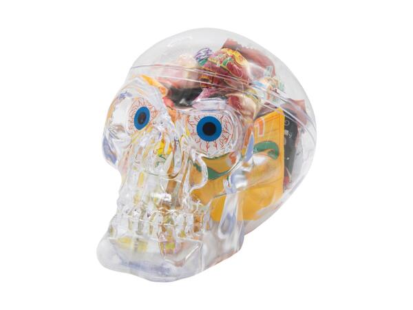 Skull with Sweets