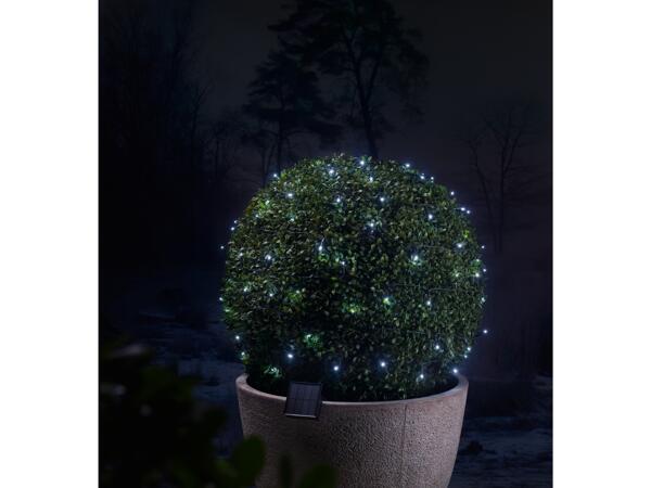 100 LED Solar Fairy Lights