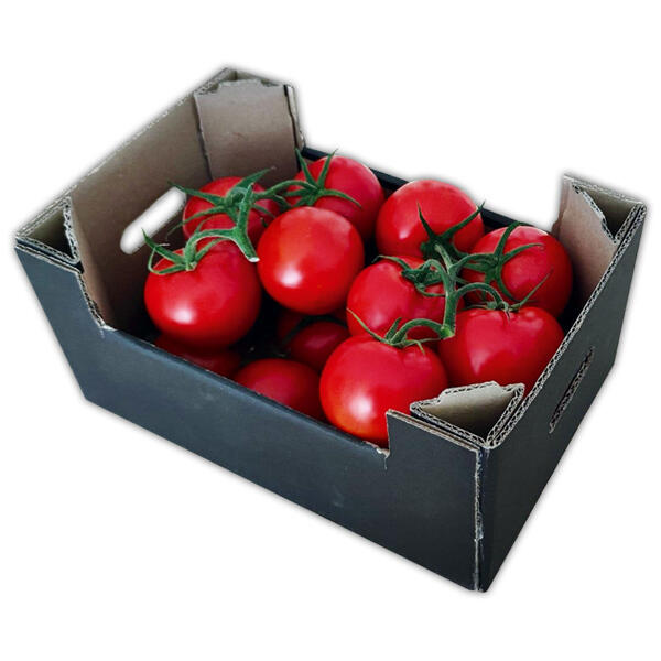 Premium Rispentomaten "Albrice"