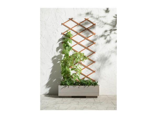 Parkside Expanding Wooden Trellis
