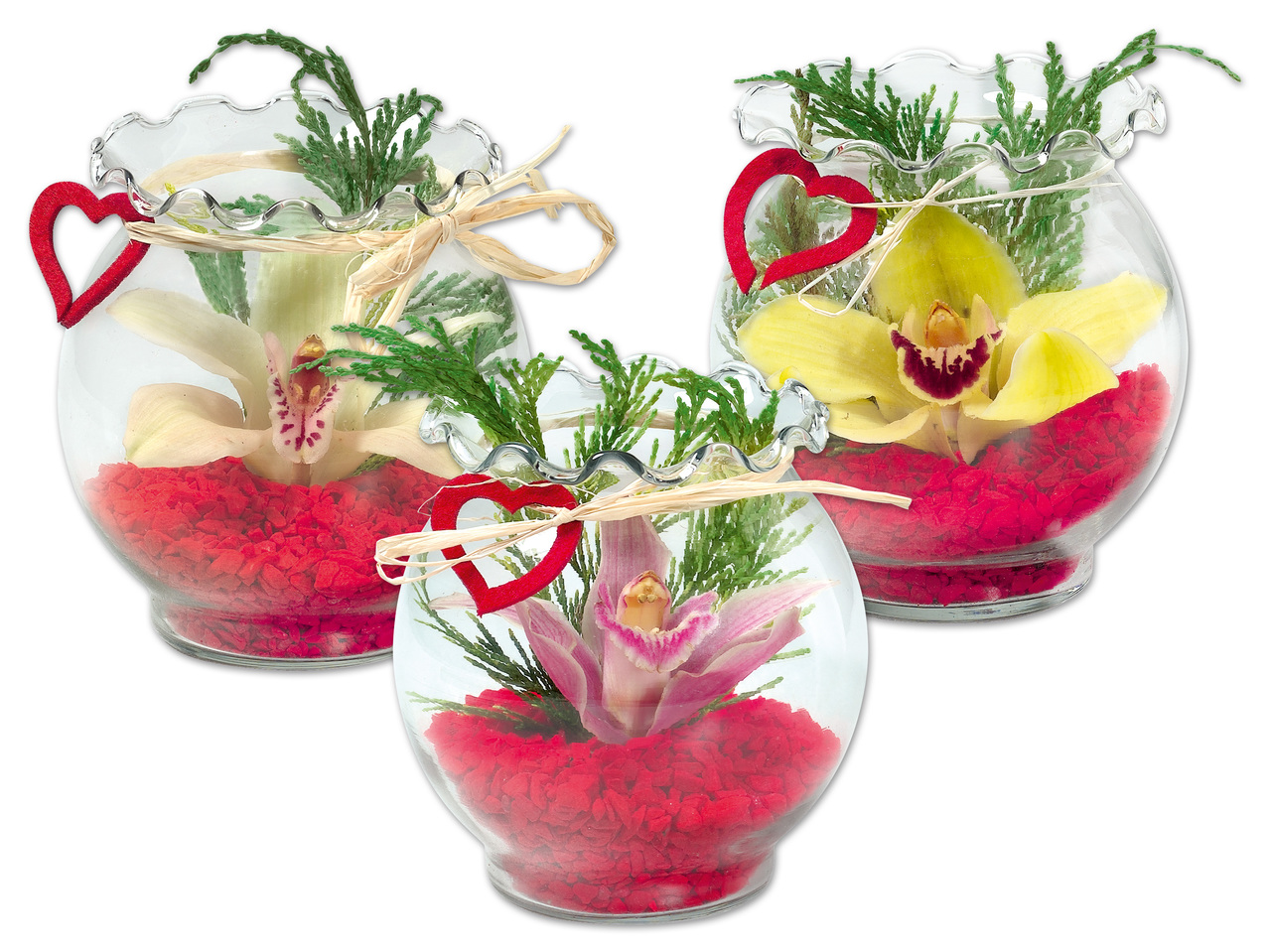 Orchidee im Wellenrandglas