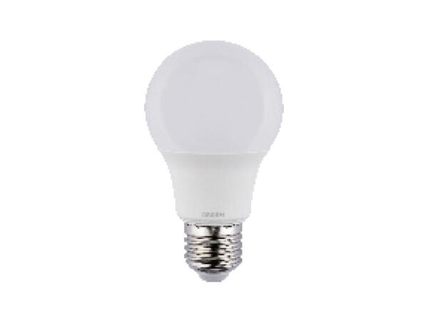 LED Light Bulbs