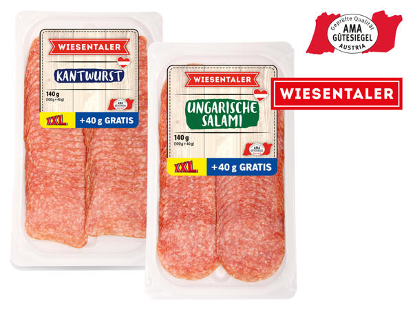 Ungarische Salami oder Kantwurst
