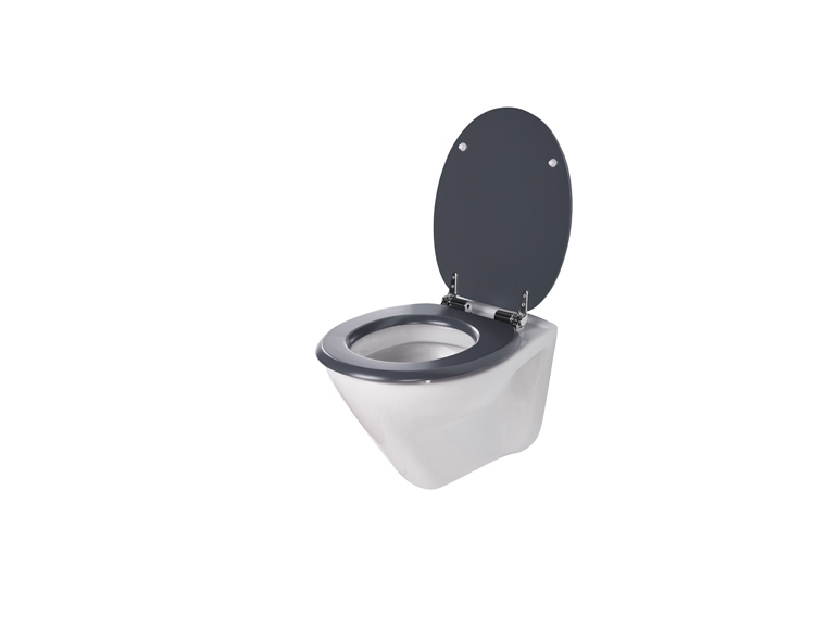 Toilet Seat