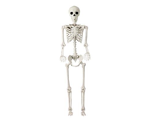 Huntington Home 
 5' Posable Skeleton