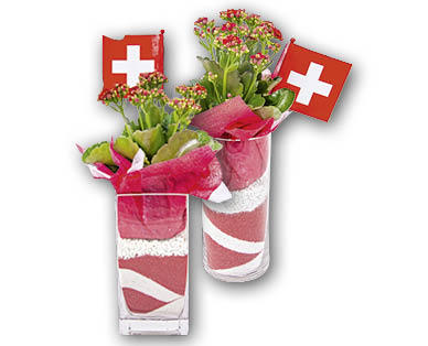 Kalanchoe dans un vase en verre