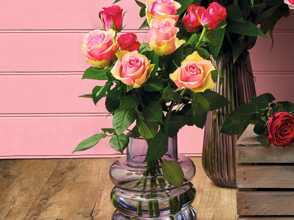 Large Headed Roses