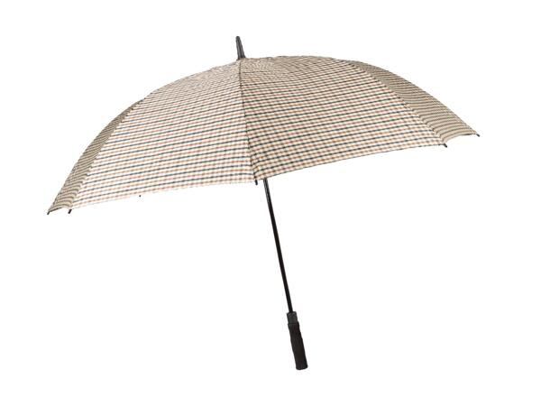 Automatic Umbrella