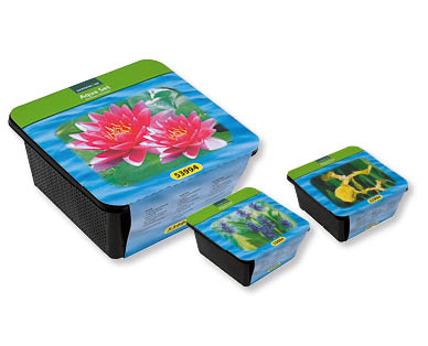 Set di piante da laghetto GARDENLINE(R)