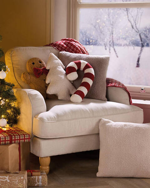 Teddy Fluffy Cushion