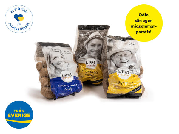 Svensk sättpotatis