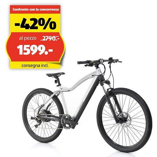 ALLEGRO Invisible E-MTB AXIM°03 19", Steel