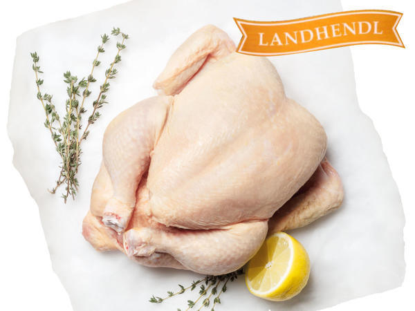 LANDHENDL Frische österreichische Poularde, bratfertig
